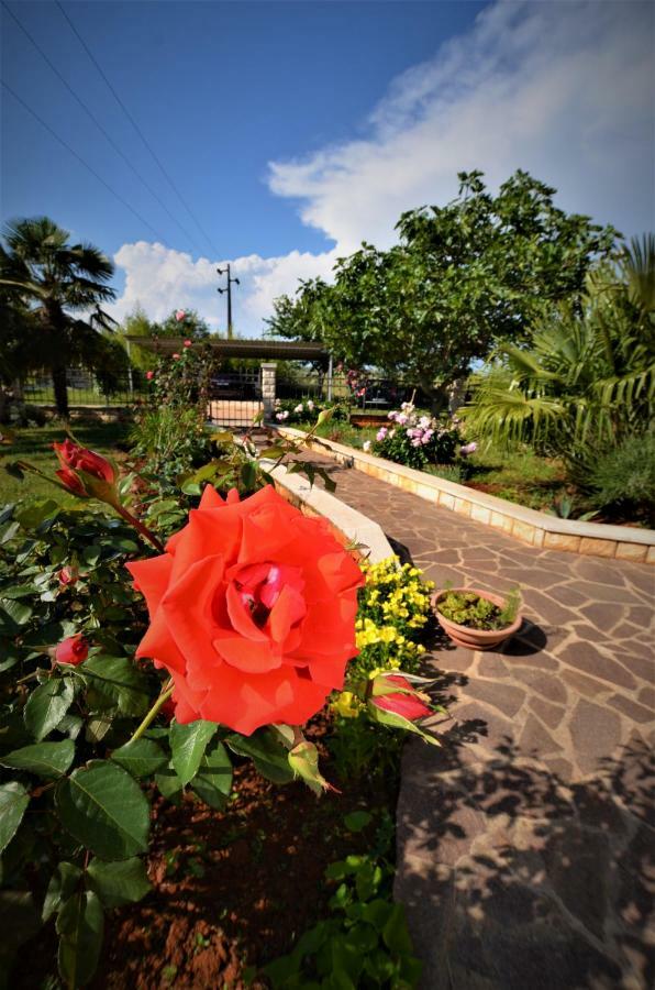 Apartments Sv. Pelegrin Умаг Екстериор снимка